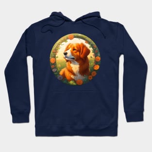 Nova Scotia Duck Tolling Retriever In Spring Hoodie